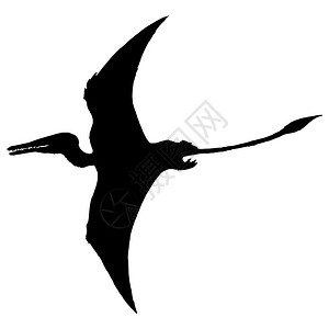 红色翼龙图片-红色翼龙素材图片大全-摄图网