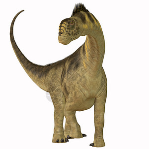 卡马拉索龙是一只草药恐龙生活在北美图片