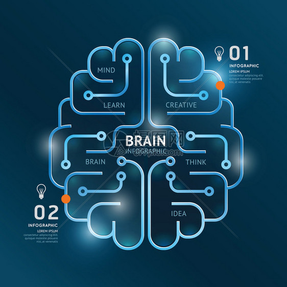 信息图表矢量大脑设计图横幅线条样式模板可用于信息图表横幅技术图片