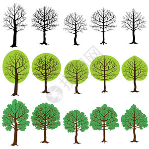 由五棵树组成分为三种不同的树种不图片