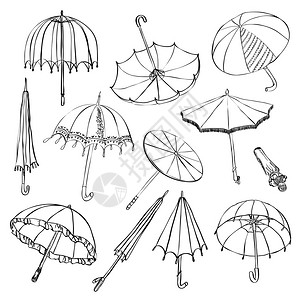 一套素描雨伞白色背景图片