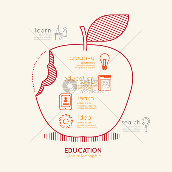 平直线插图教育苹果大纲概念矢图片