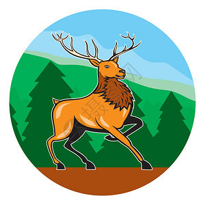 一头红色雄鹿行进走面对边的例证设置在与山森林树的圈内在卡通风格图片