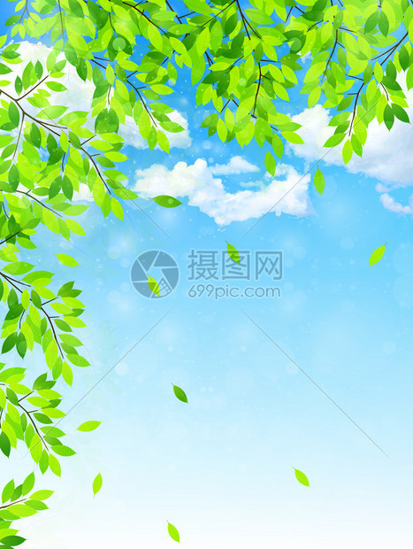 叶鲜绿背景图片
