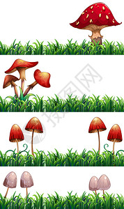 蘑菇和草图片