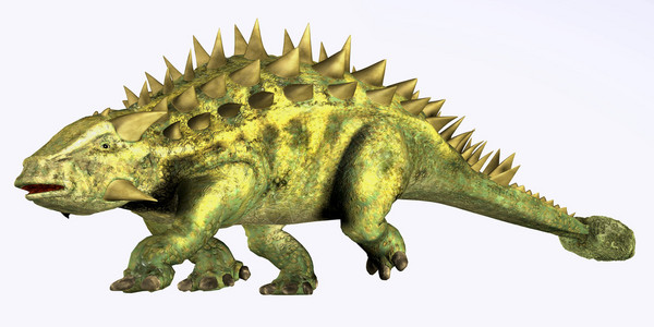 塔拉鲁斯是一只食草恐龙有一条俱乐部尾巴它生活在蒙图片