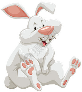 一只白色毛茸的兔子的抽认卡图片