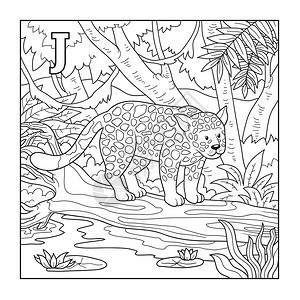 彩色本jaguar无色插图片