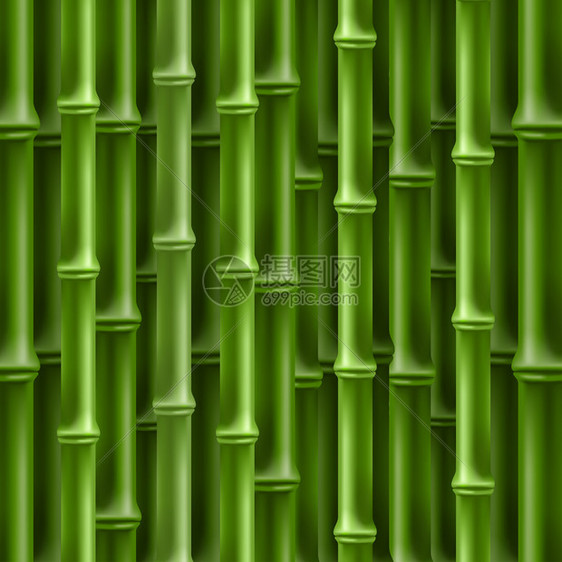 绿竹背景矢量卡图片