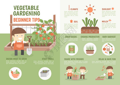 有关如何种植蔬菜初创者小费的给图片