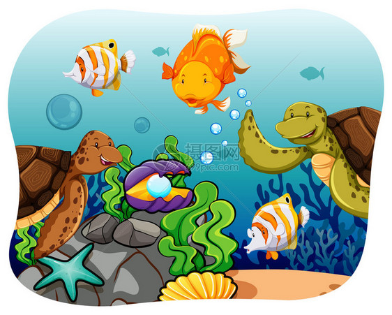 海床上的水生动物图片