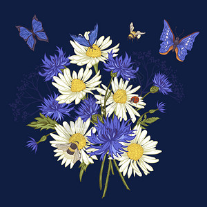 夏季复古花束贺卡与盛开的洋甘菊瓢虫雏菊矢车菊大黄蜂和蓝图片