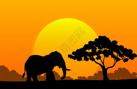 非洲卡通动物大象的矢图片