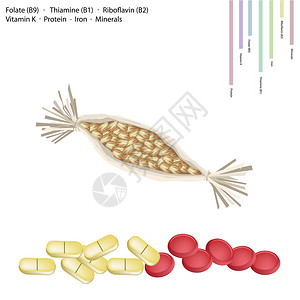 保健概念发酵大豆纳与叶酸B9硫胺素B1核黄素B2维生素K蛋白质铁矿物质片剂生图片
