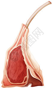 单块带骨羊排图片
