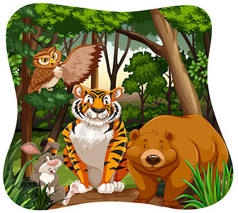 丛林中不同种类的动物背景图片