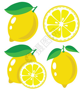 新鲜柠檬矢量插图集图片