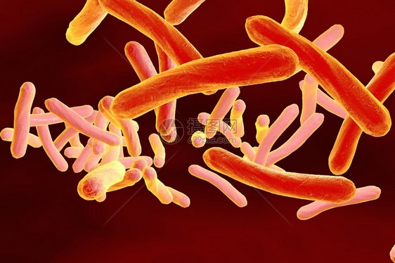 结核分枝杆菌的显微镜观察细菌模型微生物棒状细菌引起结核病的细图片