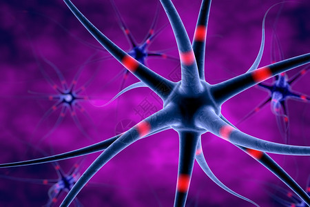 神经元数字插图神经细胞模型脑细胞神经元背景神经细胞科学背景医学背景背景图片