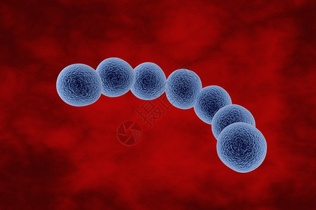 血液中链球菌的三维绘图化脓链球菌细菌模型微生物球形细图片