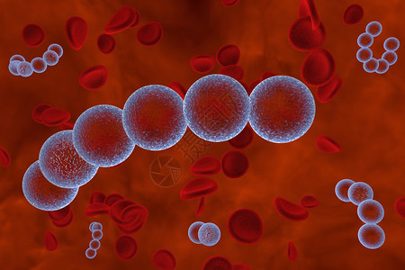 血液中链球菌的三维绘图化脓链球菌细菌模型微生物球形细图片