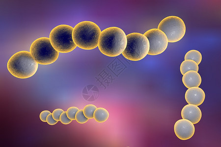 血液中链球菌的三维绘图化脓链球菌细菌模型微生物球形细图片