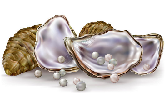 白色背景中带珍珠的牡蛎壳背景图片