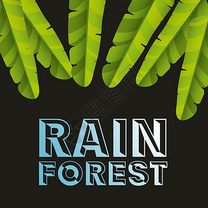 雨林设计矢量图解e图片