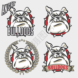 为大学校体育队标志概念服装设计提供一套带有愤怒面部情绪的斗牛犬头目的详细标图片