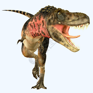 Tarbosaurus是生活在亚洲白鲸时期的食图片