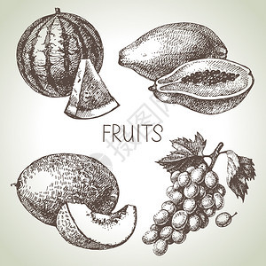 手工绘制草图水果集生态食图片