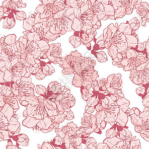 樱花萨库拉无缝模式Flora背景图片