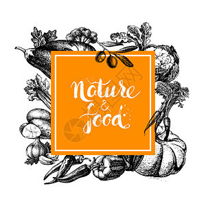 生态天然食品菜单背景绘制蔬菜框架图片