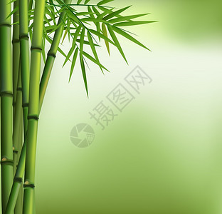 绿色背景上孤立的绿色竹林插图图片