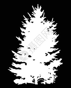 黑色背景上用白色fir树背景图片