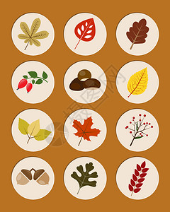 一系列秋天自然符号叶子和水高清图片