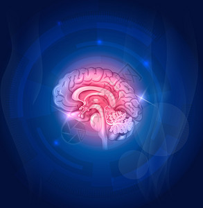 蓝色背景的人类大脑美图片