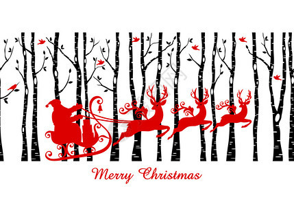 圣诞老人的雪橇在白树林圣诞卡图片