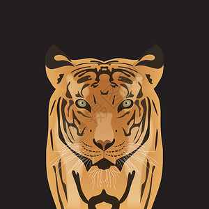 老虎的平面矢量肖像一只眼睛穿透的大图片
