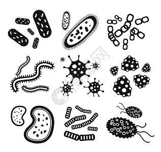 细菌黑白矢量图标集生物学微生物微生物细菌和杆菌病媒原体图标原核生物分离的虫子科学微生物图片