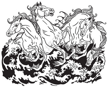 四匹神话般的海马黑白插图片
