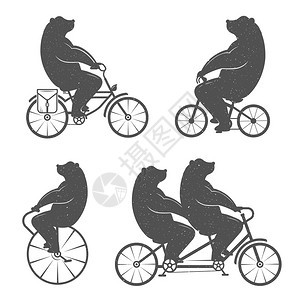 滑稽熊骑着白色的自行车图片
