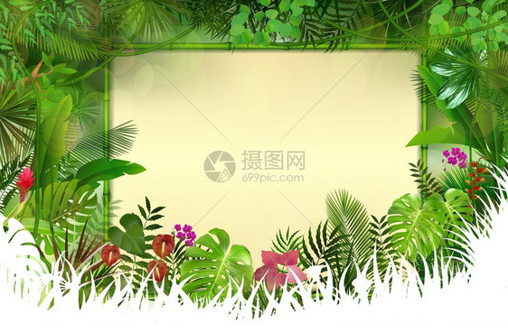 热带背景说明在概念竹中以矩形花岗框作为图片