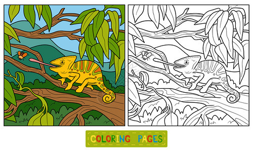 彩色书籍儿童教育图片