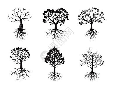 黑树与根集图片
