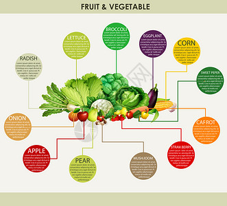 新鲜蔬菜和水果插图图片