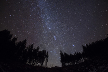 与星和树木的夜空图片