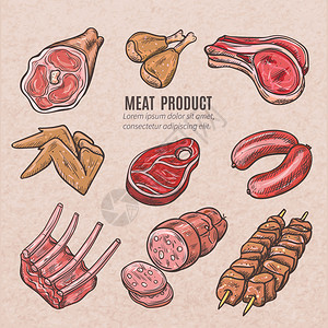 以古老风格制作的肉类产品彩色素描草图图片