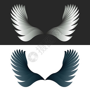 天使翅膀黑白幻想装饰设计元件An图片