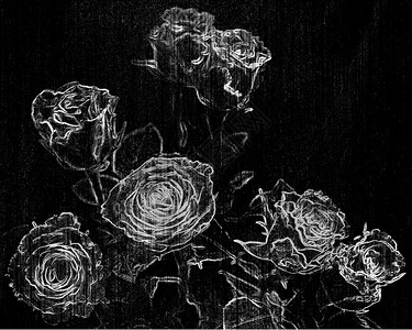黑白设计中的玫瑰花束图片